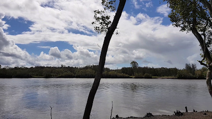 Logan River Shark Spot #2 Bait Shop Gc, Brisbane