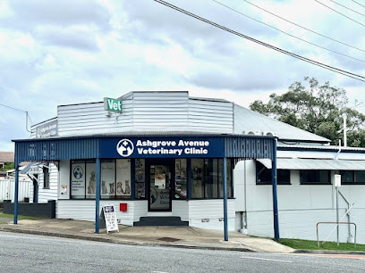 Ashgrove Avenue Veterinary Clinic, Brisbane