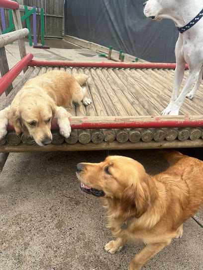 Barkley Park Dog Day Care, Brisbane