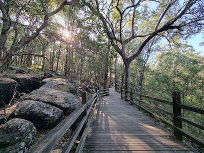 Toohey Forest Park, Brisbane