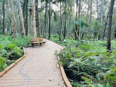 Daisy Hill Trails, Brisbane