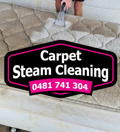 Carpet Cleaner Ipswich, Brisbane