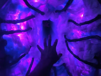 Project Immersive Escape Rooms, Brisbane