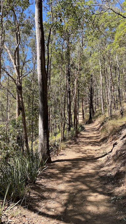 Honeyeater Hiking Track, Brisbane