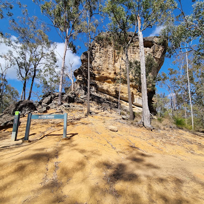 White Rock Conservation Area, Brisbane