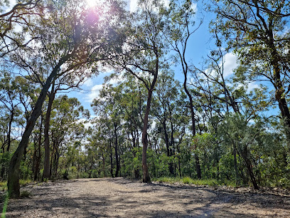 Seven Hills Bushland Reserve, Brisbane