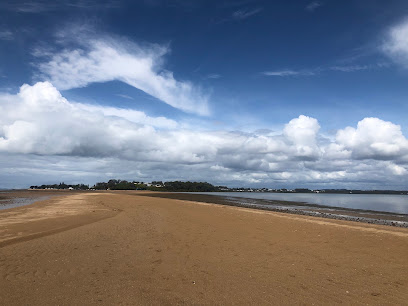 King Island (Conservation Park), Brisbane