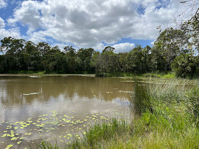 Berrinba Wetlands, Brisbane