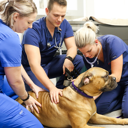Animal Emergency Service Jindalee, Brisbane