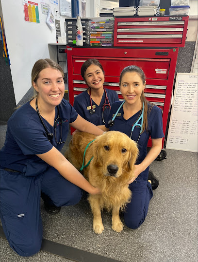 Animal Emergency Service Underwood, Brisbane