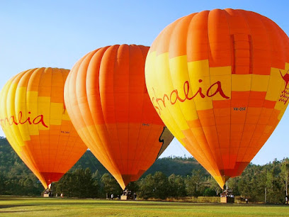 Balloons Over Brisbane