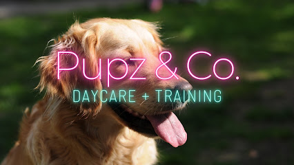 Pupz & Co. Daycare & Training, Brisbane